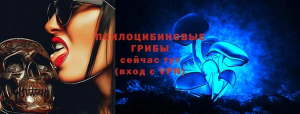 стафф Абаза