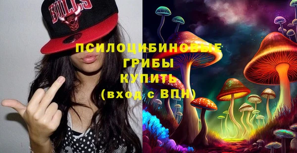 ПСИЛОЦИБИНОВЫЕ ГРИБЫ Алексеевка