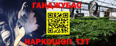 сатива Кандалакша
