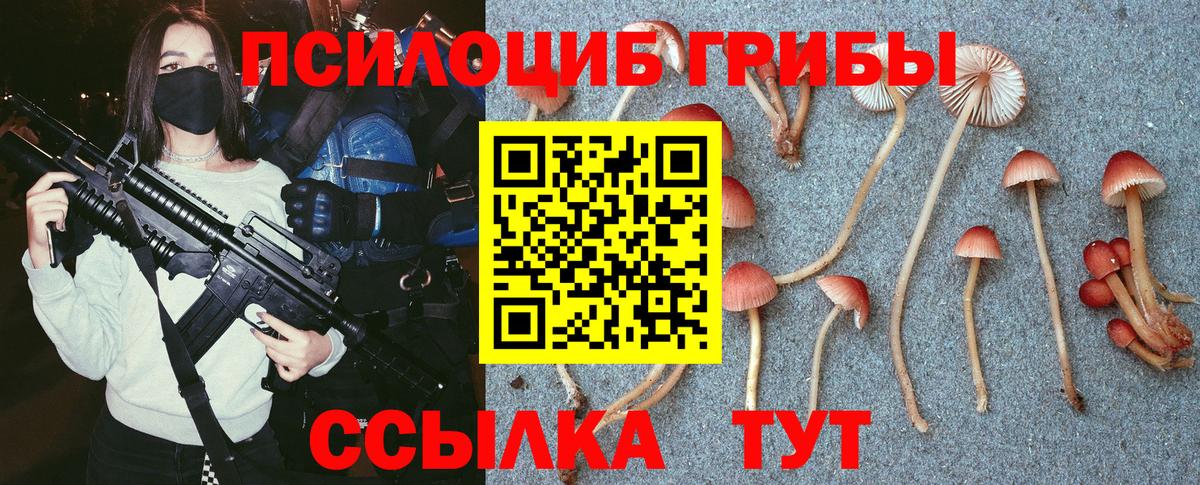 Менделеевск  Псилоцибиновые грибы GOLDEN TEACHER  цена наркотик  Вход с VPN 