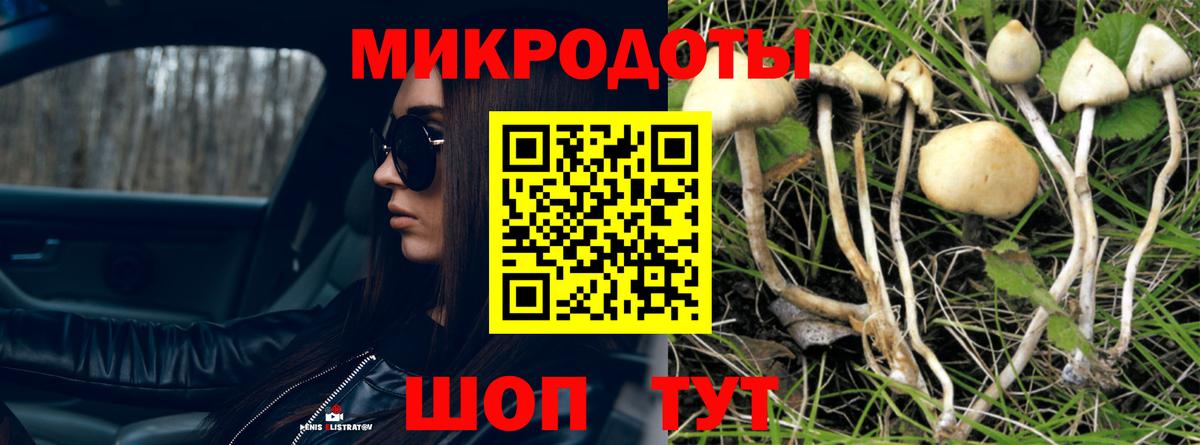 Псилоцибиновые грибы Cubensis Менделеевск